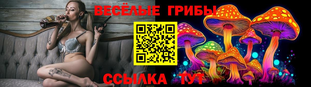 Фурманов  Галлюциногенные грибы мицелий  Галлюциногенные грибы GOLDEN TEACHER  Вход с VPN 